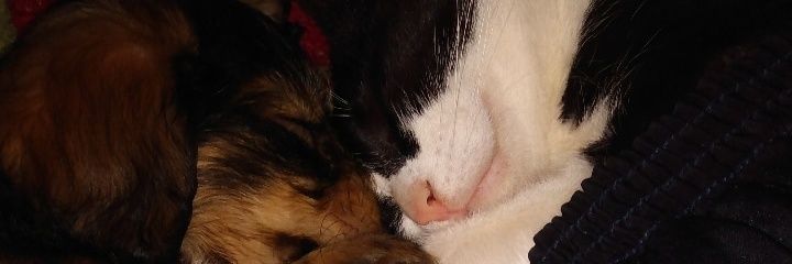 fatiipradaa's profile banner image