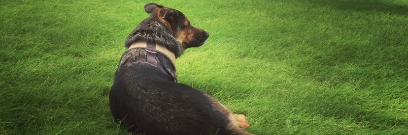 jennacan's profile banner image