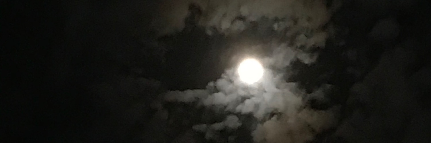 gena_che's profile banner image