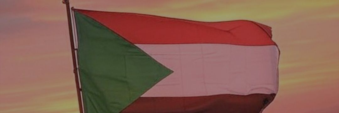 eishamadi's profile banner image