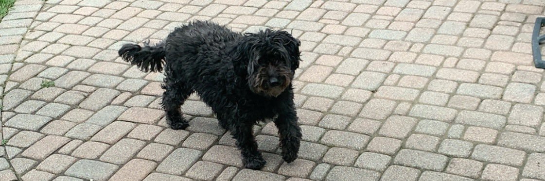queen14em's profile banner image