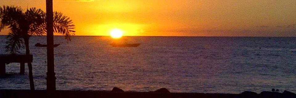 IgnacioOttley's profile banner image
