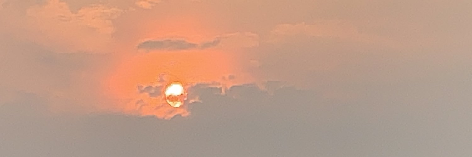 Elcio Queiroz banner