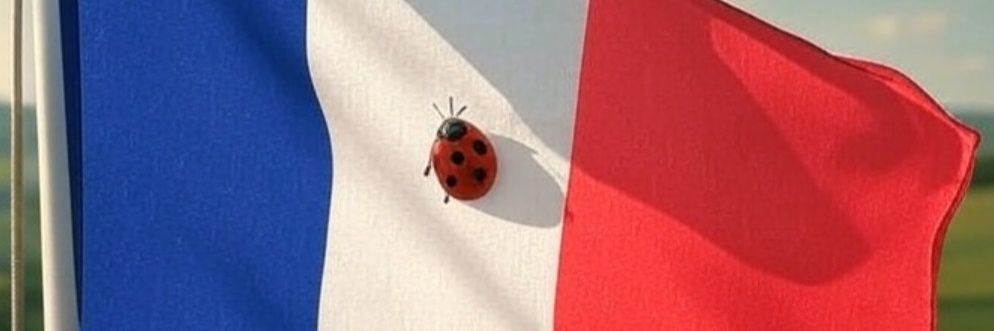 Decan78's profile banner image