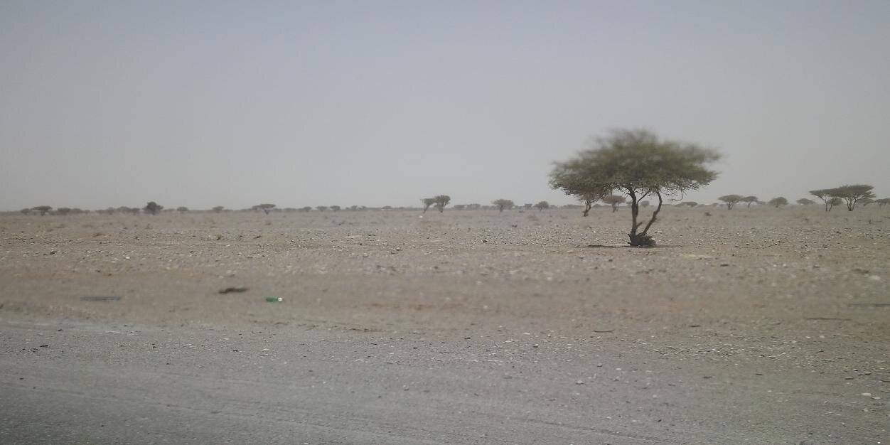 LidiaWojdat's profile banner image