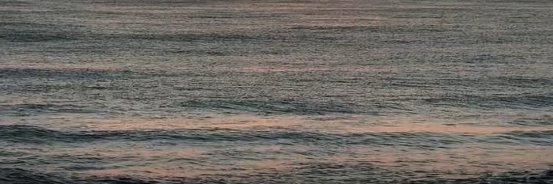 BeshAlamri's profile banner image