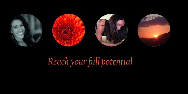 SamNovik's profile banner image