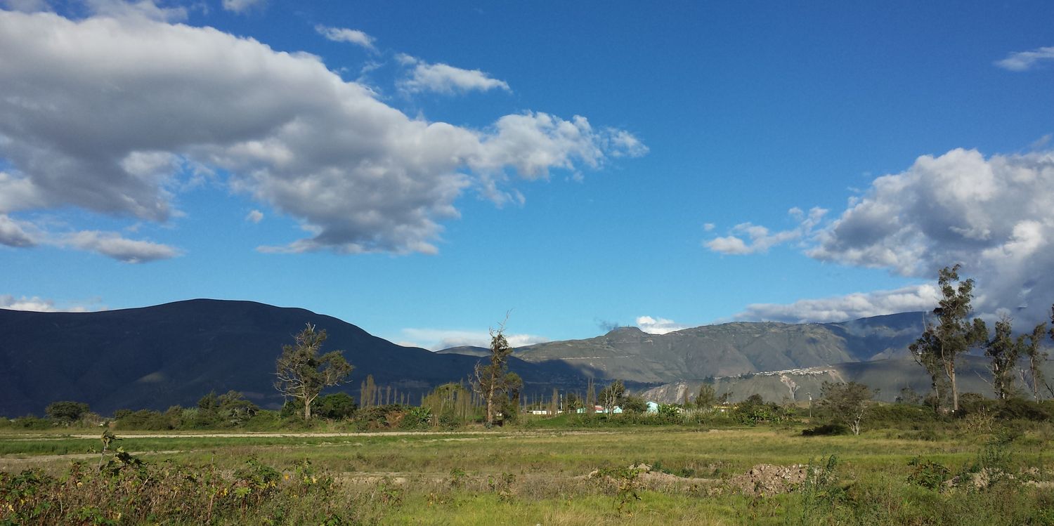 Joviito™ banner