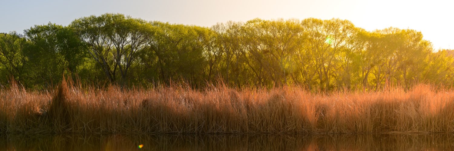 georgetenney's profile banner image