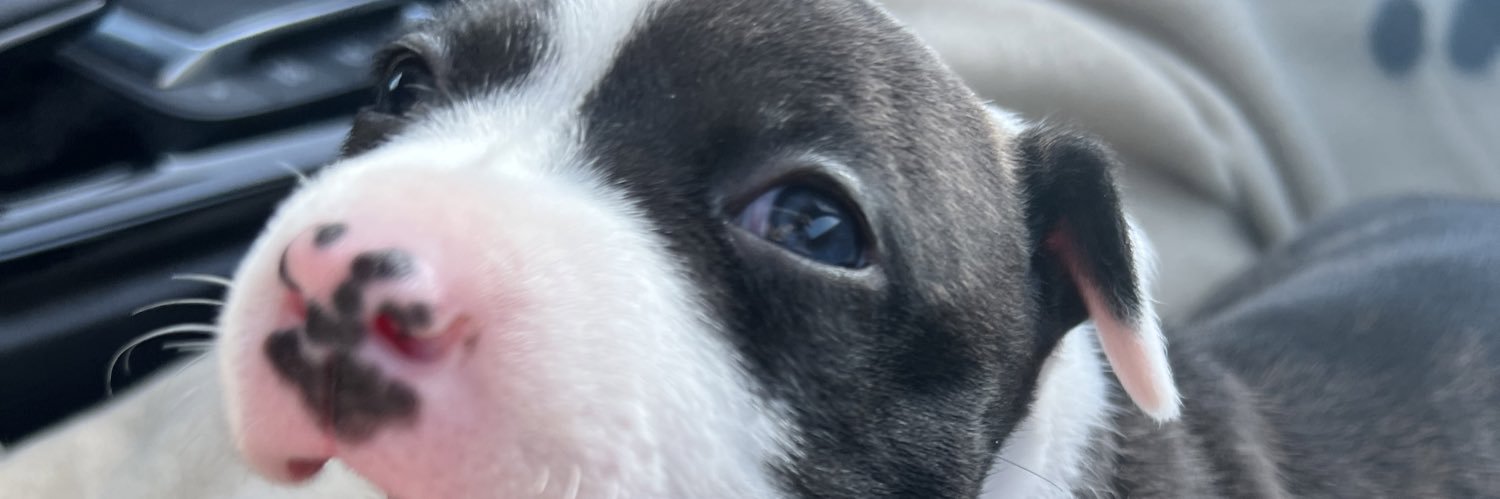Suuuus10's profile banner image