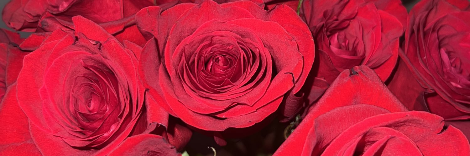 _makhayla's profile banner image
