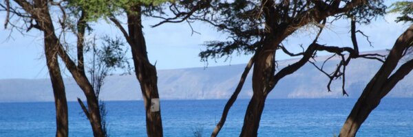 GypsyBeachLover Profile Banner
