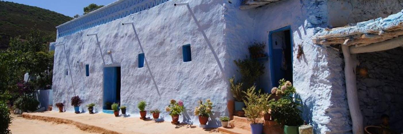 Nada Benajiba banner