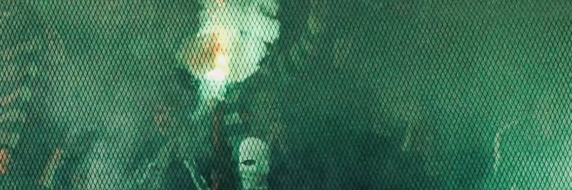 Miguel2Pedro's profile banner image