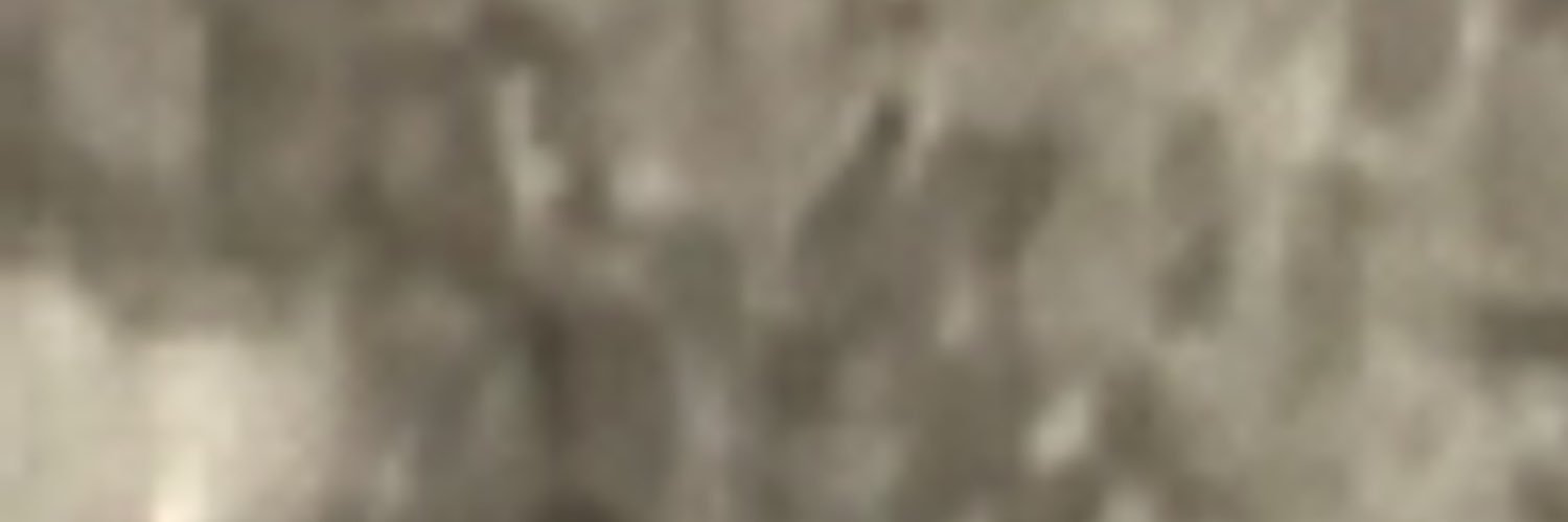 Aabsalan's profile banner image