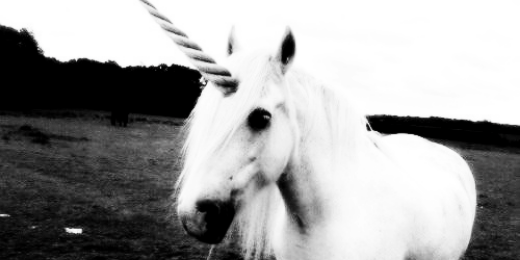 Daphne_FRF's profile banner image