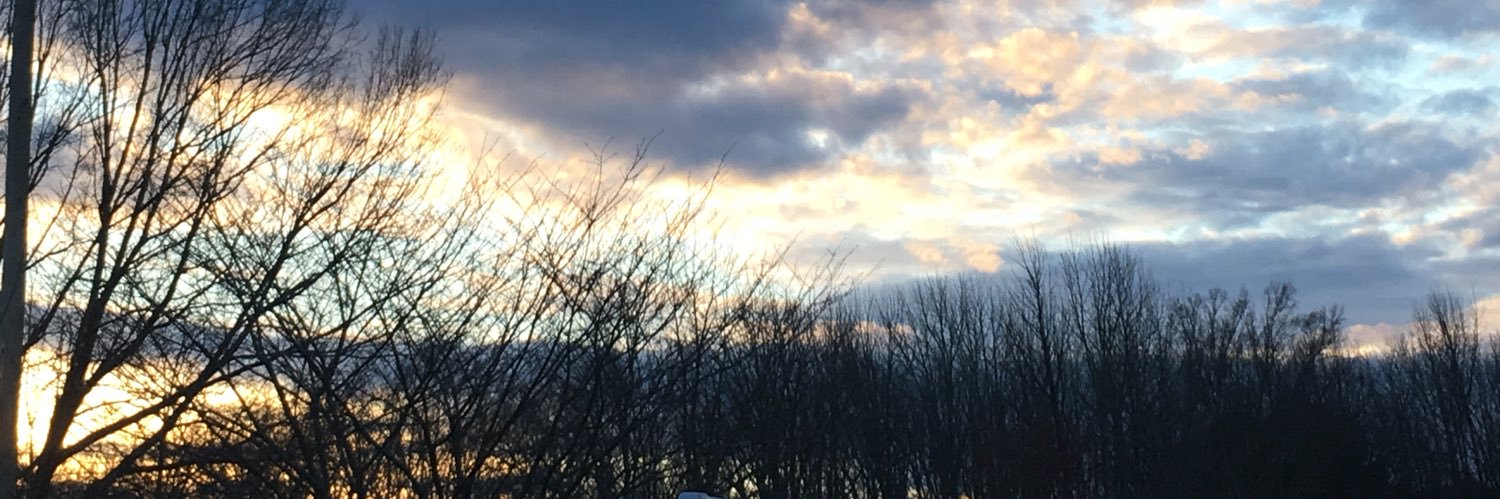 MollyJobeth21's profile banner image