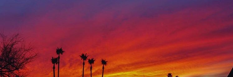 KosLydia's profile banner image