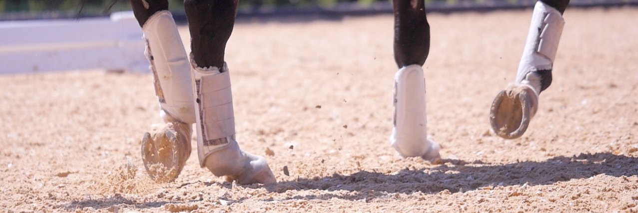ottosportint's profile banner image