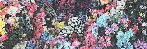 CarolFitt's profile banner image