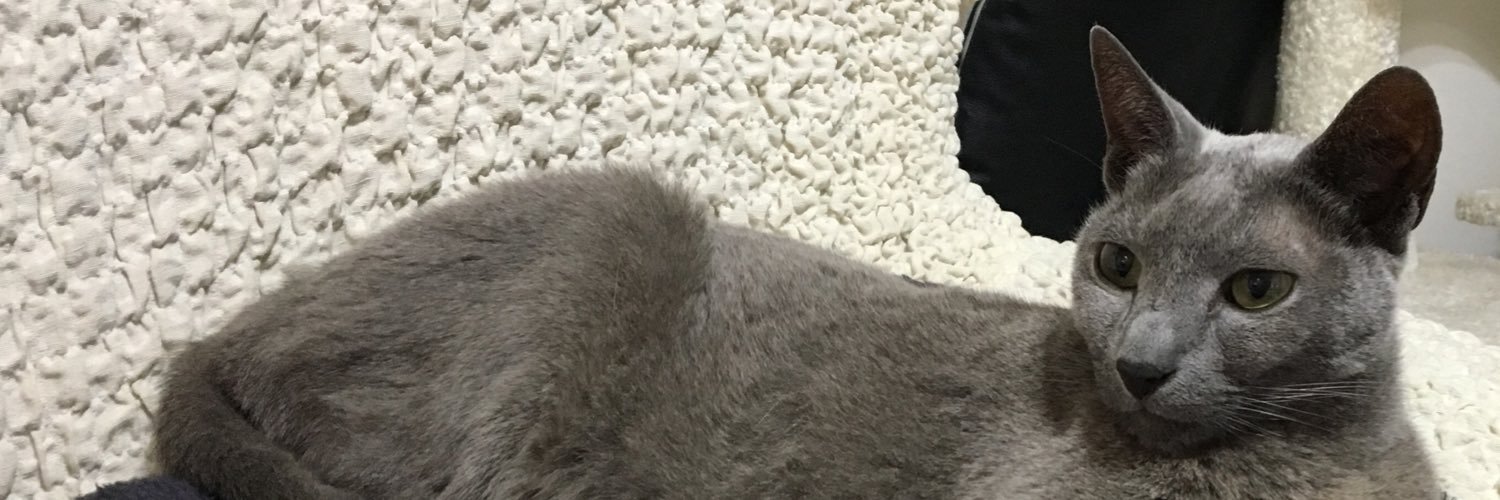 rejikan_'s profile banner image