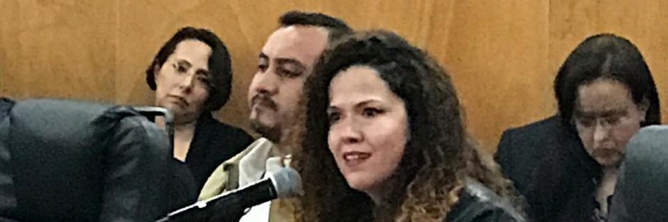 Aranzazu Alonso banner