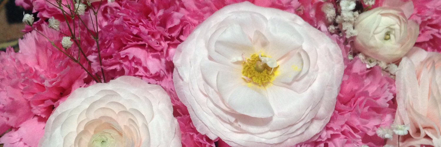 zeynep_sumer77's profile banner image