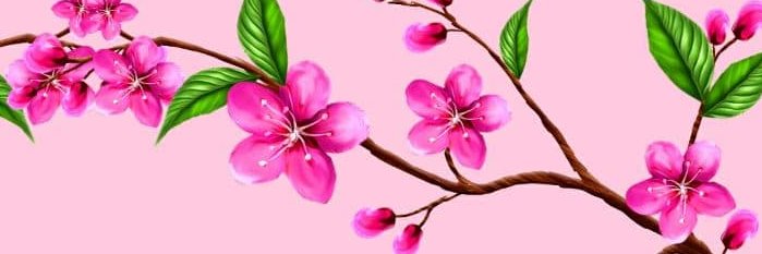 micatom99's profile banner image