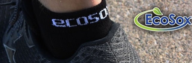 EcoSox's profile banner image