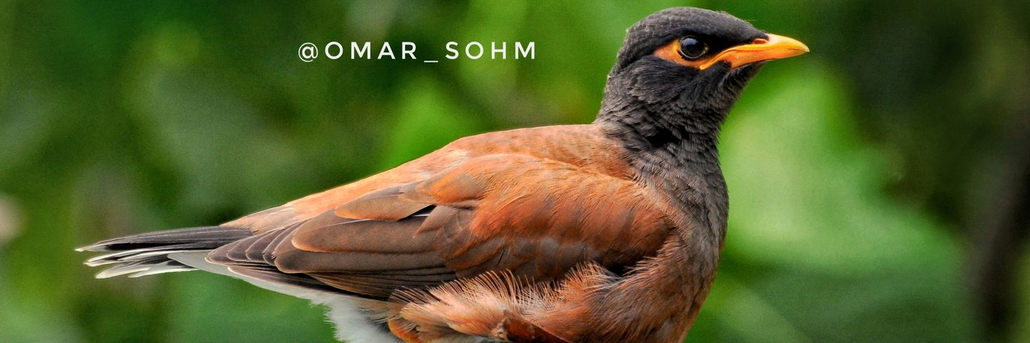 OMARSOHM's profile banner image