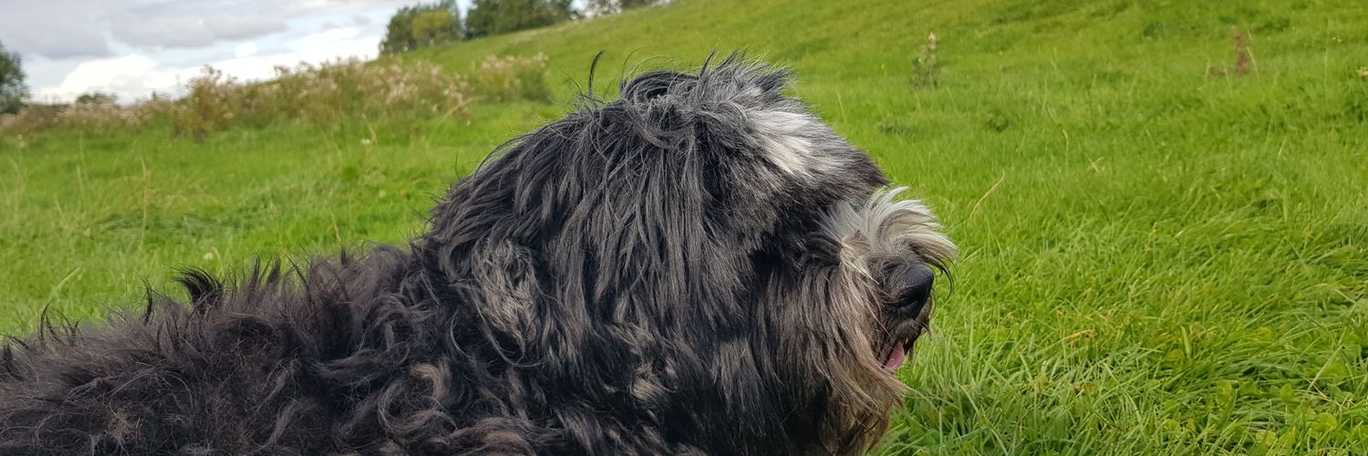MrsLeedale's profile banner image