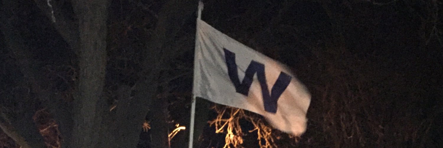 Mark D 🐻🔽 banner