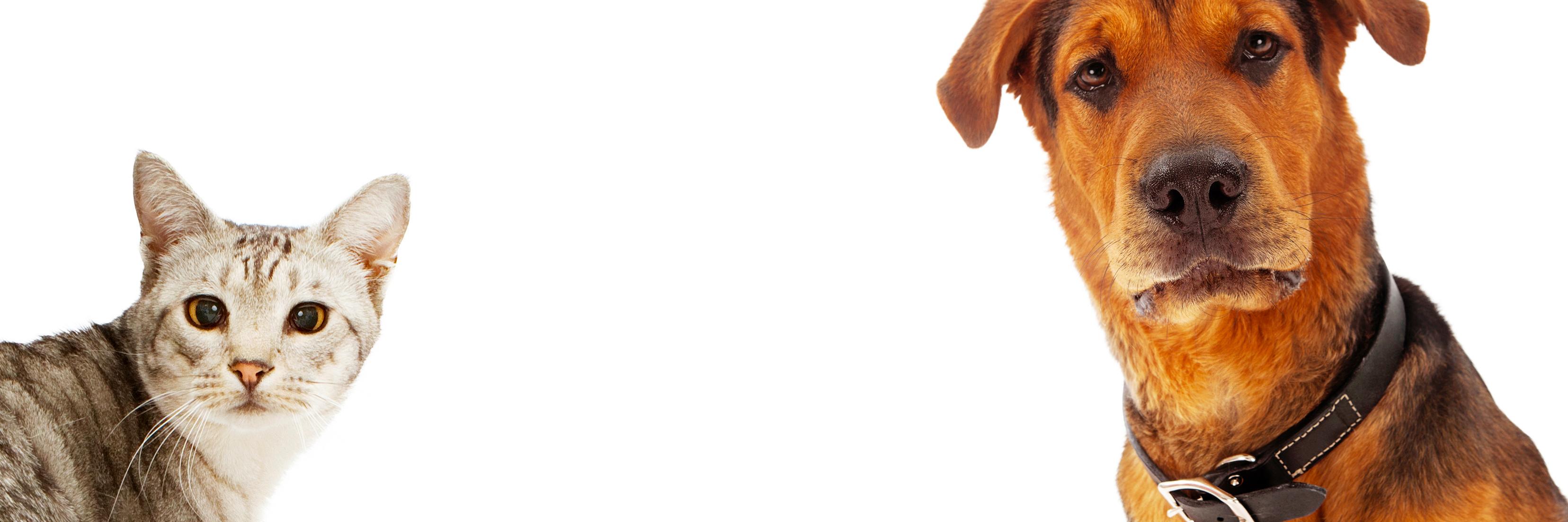 ml62's profile banner image