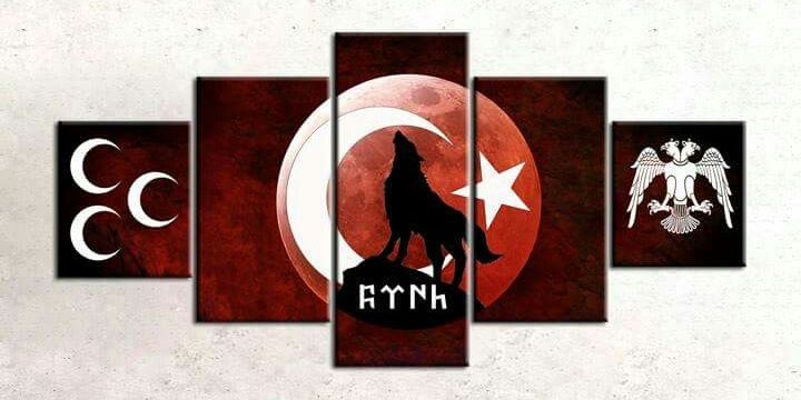 EmreeeeALP's profile banner image
