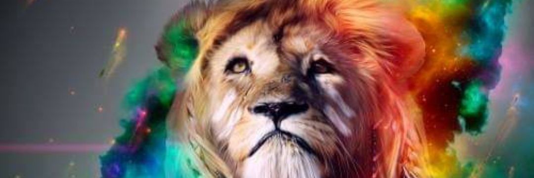 krisgrayy93's profile banner image