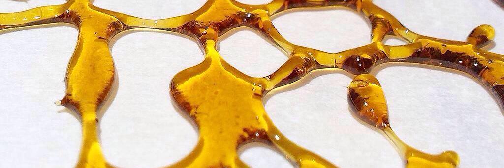 AllWeedPics's profile banner image