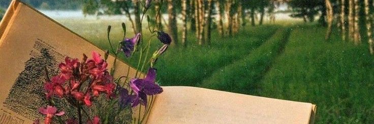 pauandreuu's profile banner image