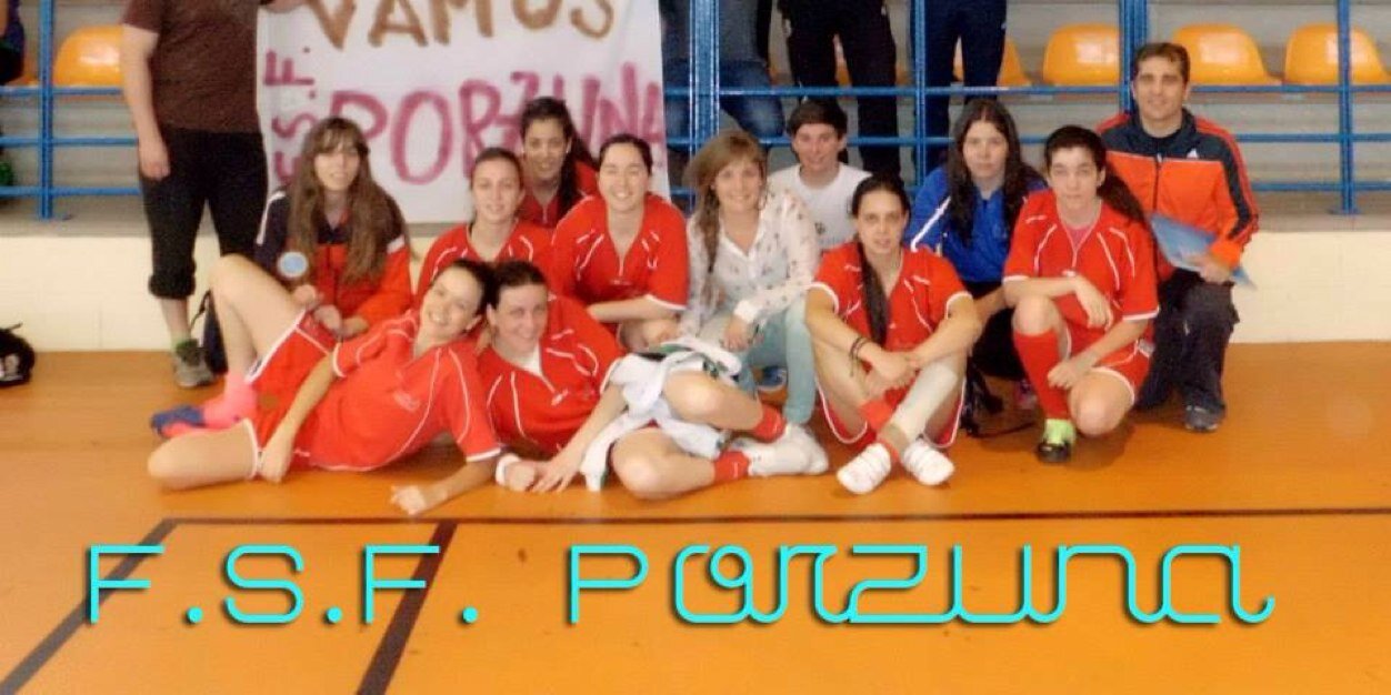 PorzunaFSF's profile banner image