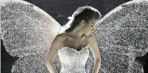 Angel1Darkwings's profile banner image