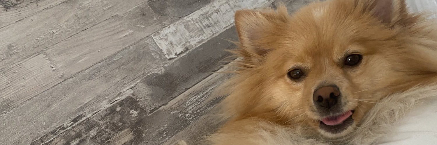 Danie 🏳️‍🌈 banner