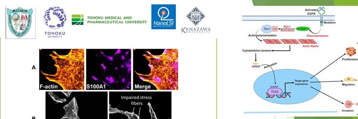 hanuney's profile banner image