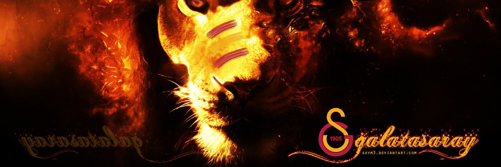 ulacarda's profile banner image