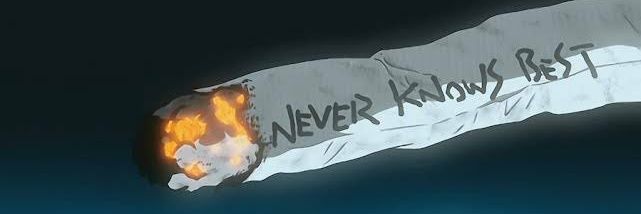 ばにらびいんず(鳥) banner