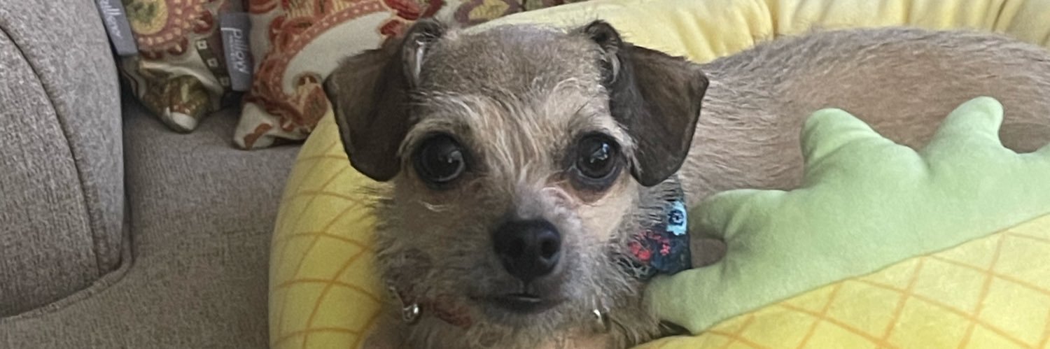 RobinDenise's profile banner image