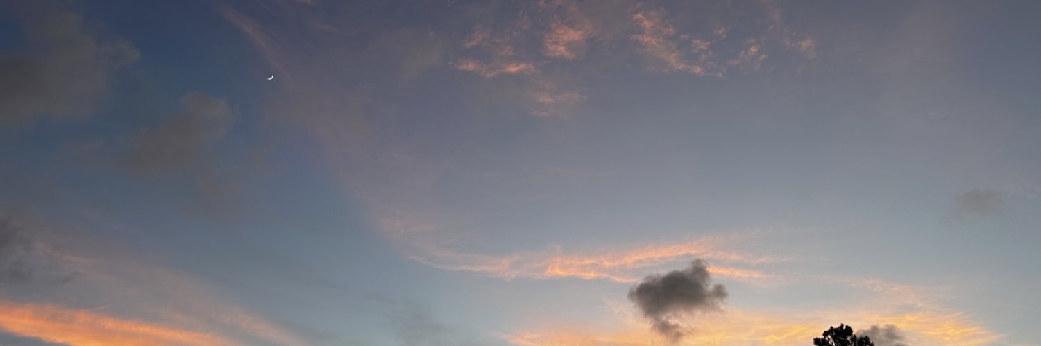 _sara_wright_'s profile banner image