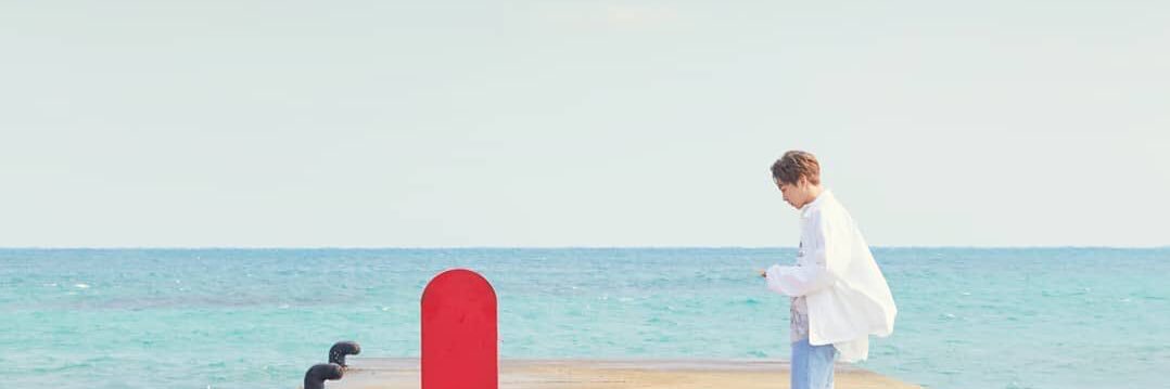 thebunnybear99's profile banner image