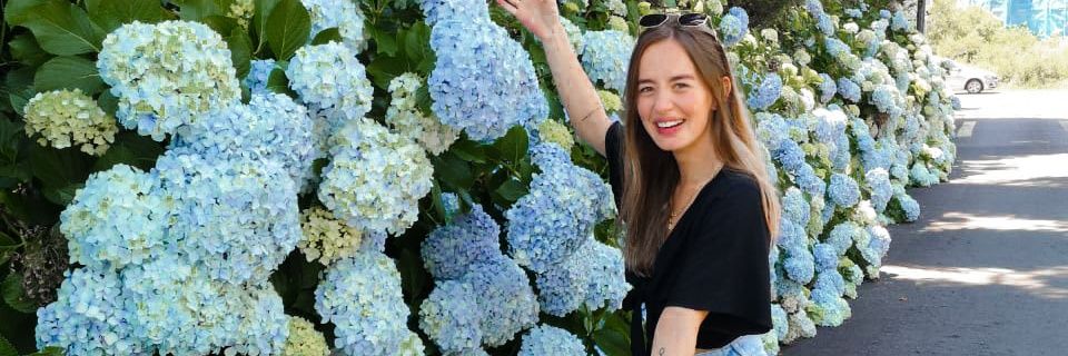 fairenanda's profile banner image