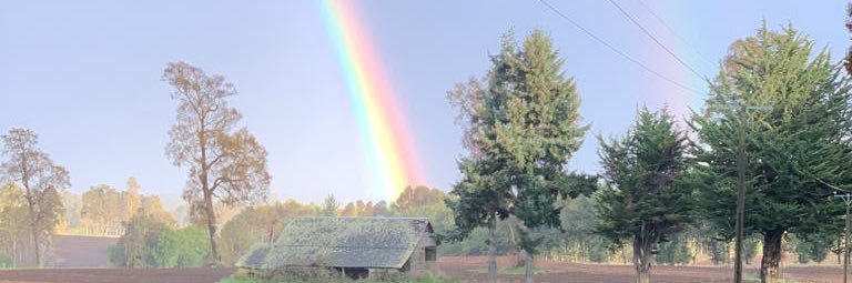 Barbara Negron banner