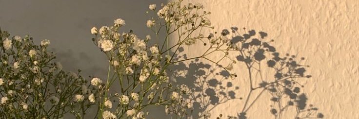 wrdahdodo's profile banner image