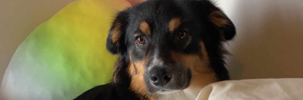 Sami_Jean1's profile banner image